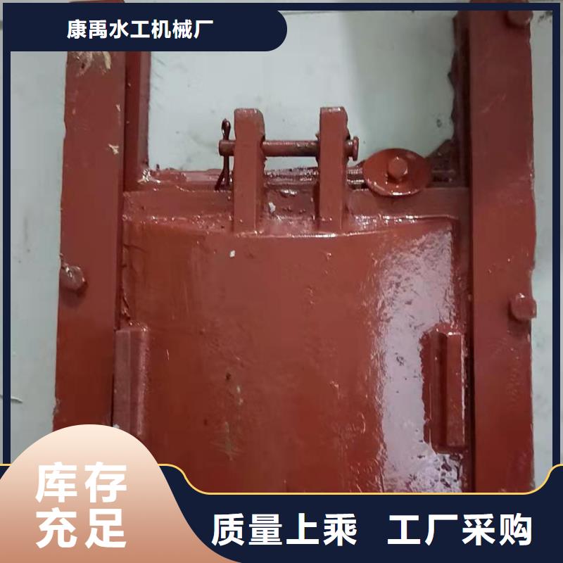 双向止水闸门可定制