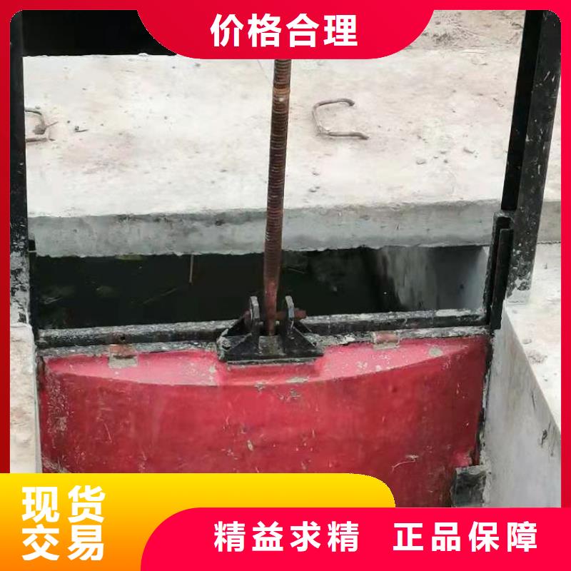 水電站鑄鐵閘門免費(fèi)提供咨詢