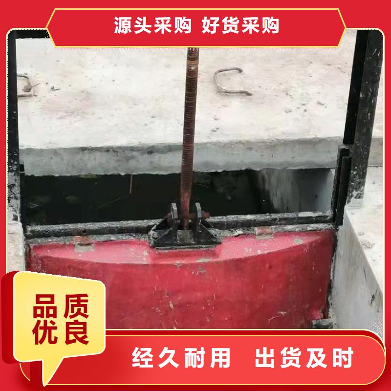 可按需定做鑲銅鑄鐵閘門的廠家