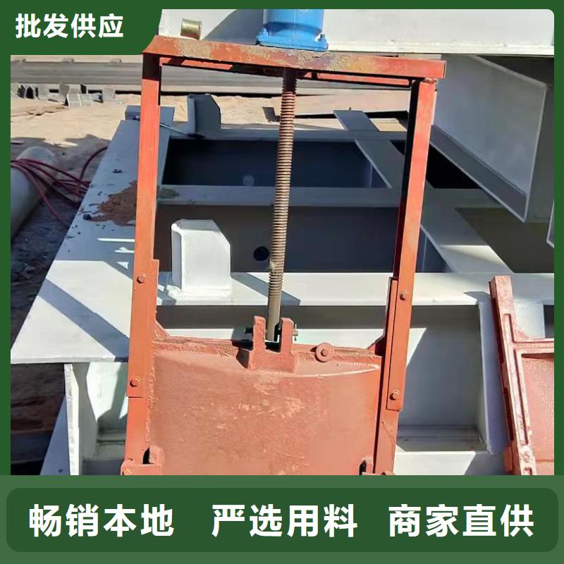 水庫鑄鐵閘門源頭生產廠家