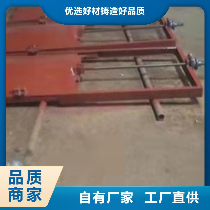 铸铁闸门,泵站清污机可定制