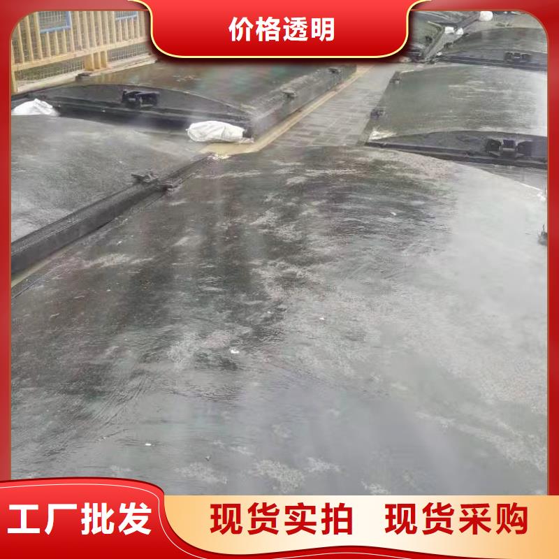 铸铁闸门 泵站清污机现货充足