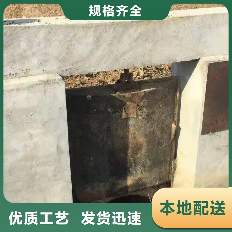 水電站鑄鐵閘門廠家直銷