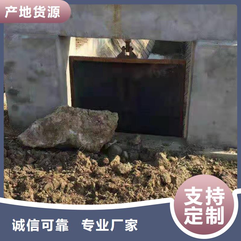 渠道閘門源頭廠家