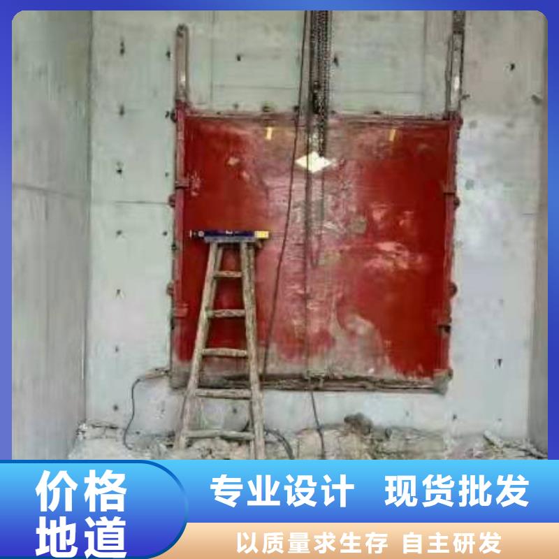 扇形閘門工廠直銷