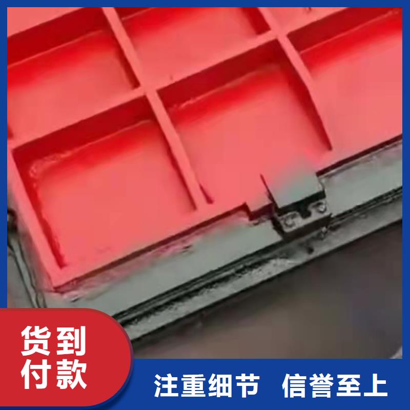 扇形闸门可按需定制