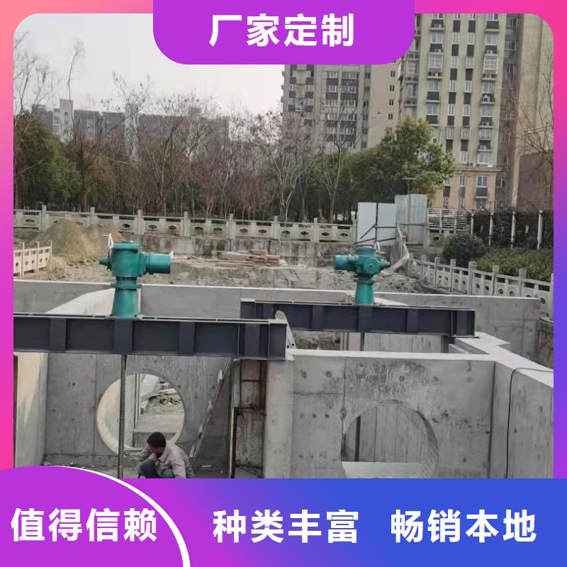 鑲銅鑄鐵閘門規格齊全
