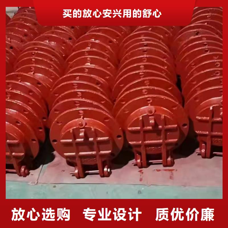 水電站鑄鐵閘門可定制