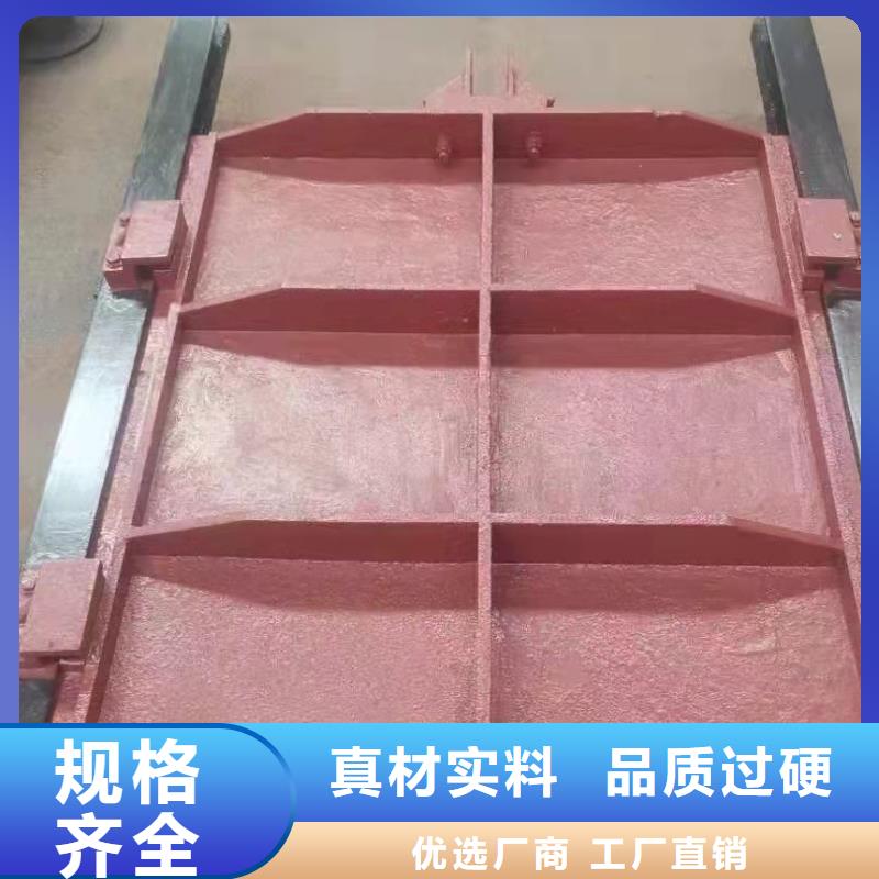 鑄鐵閘門污水除污機多種規格可選