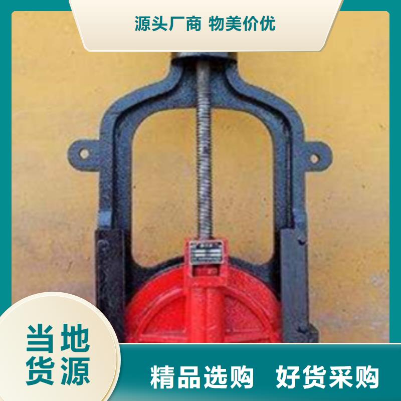 水電站鑄鐵閘門免費指導安裝