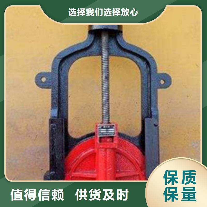 泵站鑄鐵閘門廠家直銷