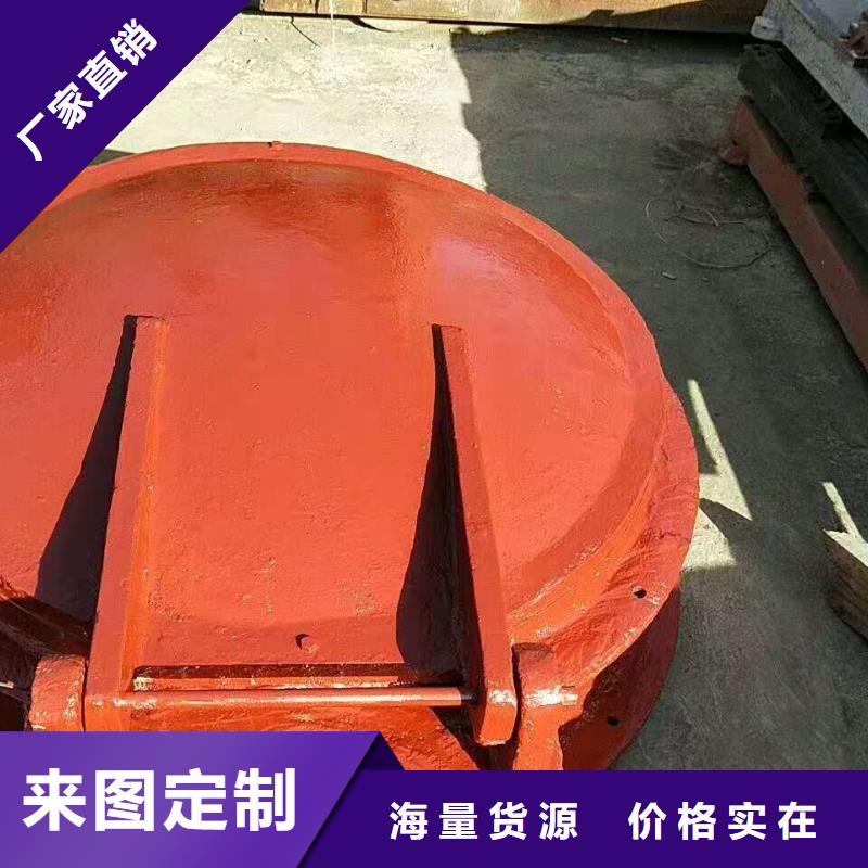 鑄鐵閘門【泵站清污機】廠家實力雄厚