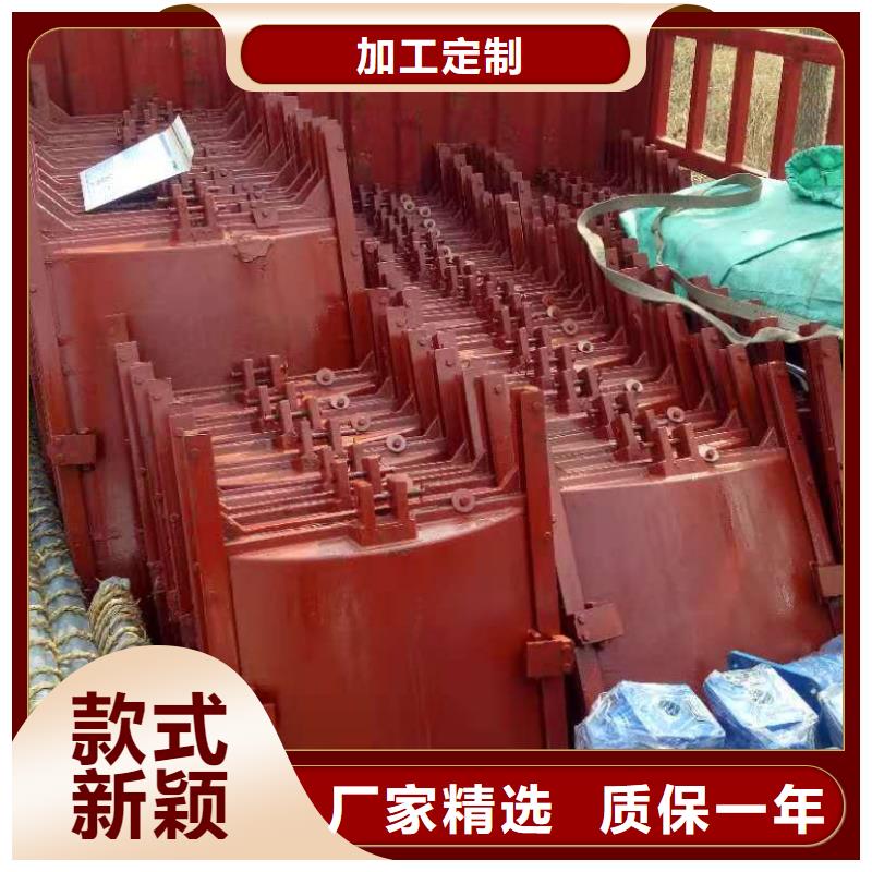鑄鐵閘門-拍門生產廠家