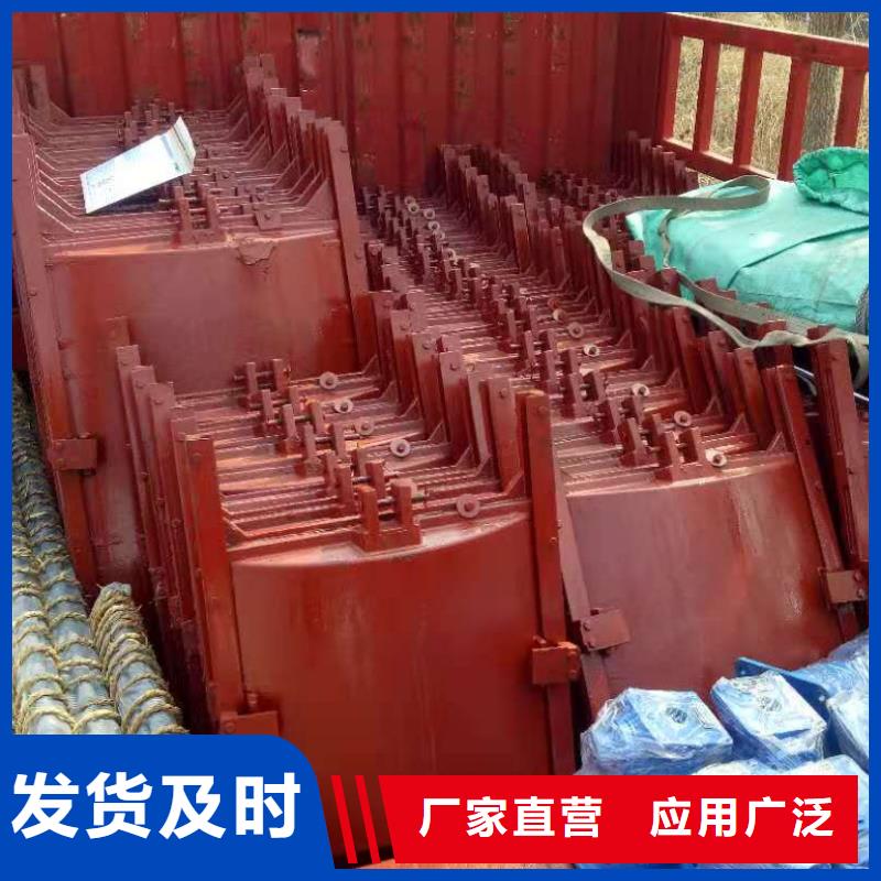  铸铁闸门物美价优