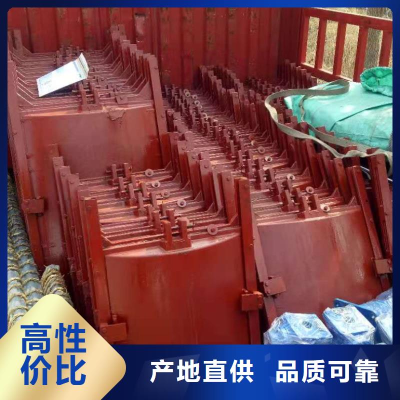 铸铁闸门,泵站清污机可定制