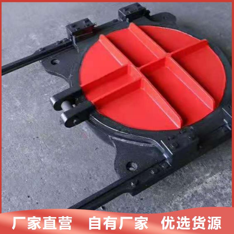 復(fù)合閘門免費提供咨詢