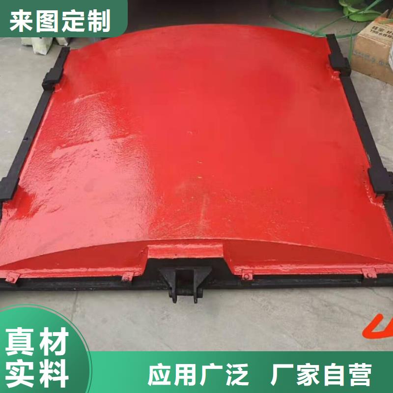機閘一體式鑄鐵閘門價格公道