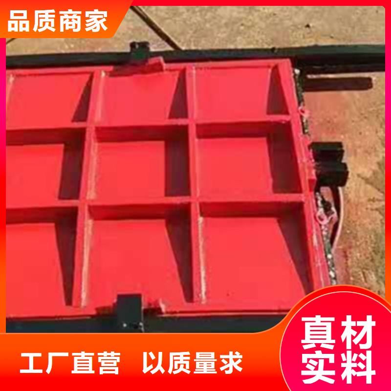 扇形閘門工廠直銷