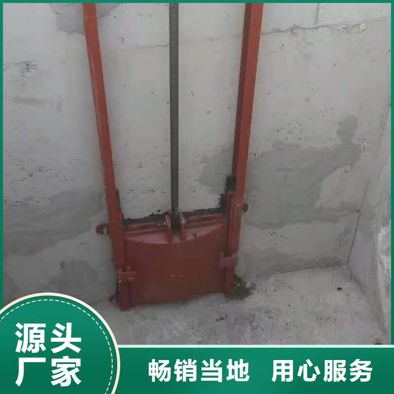 機閘一體式鑄鐵閘門免費指導安裝