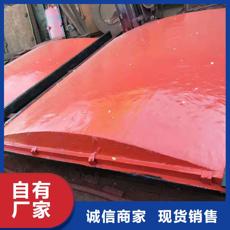 雙向止水閘門支持定制
