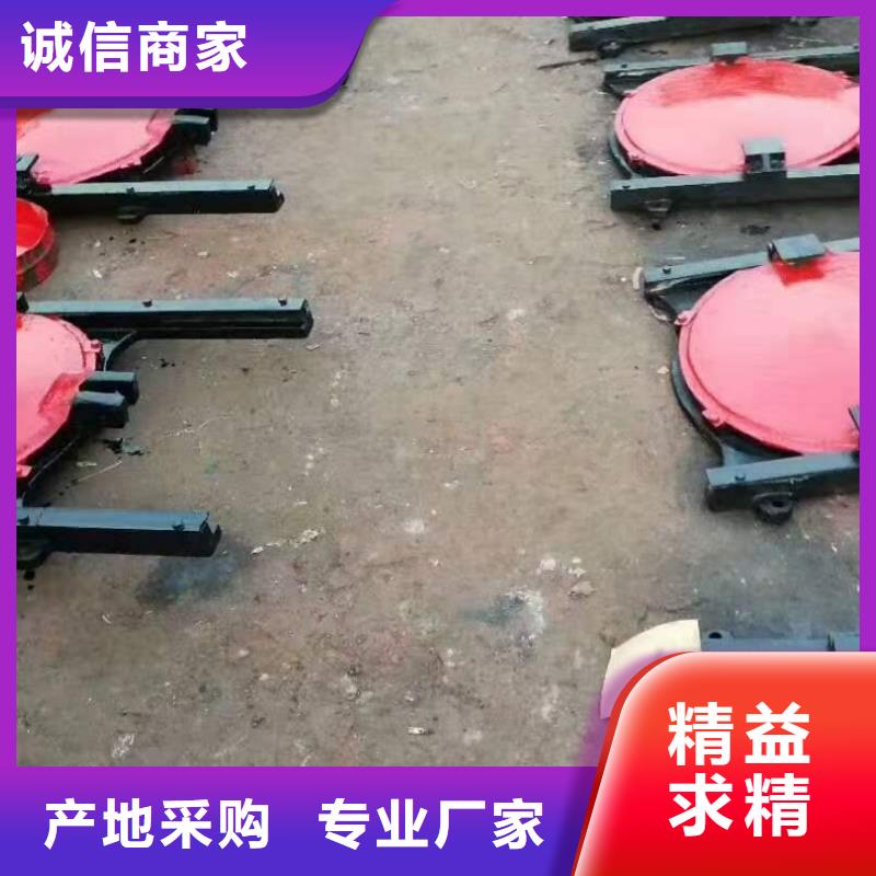 鑄鐵閘門品質(zhì)無(wú)所畏懼