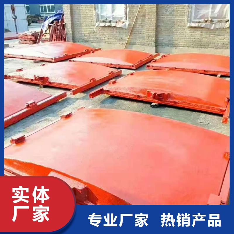 扇形閘門工廠直銷