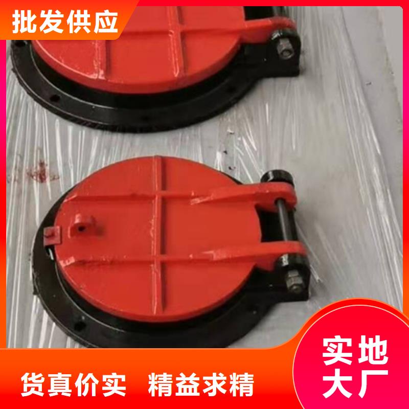 扇形闸门企业-价格合理