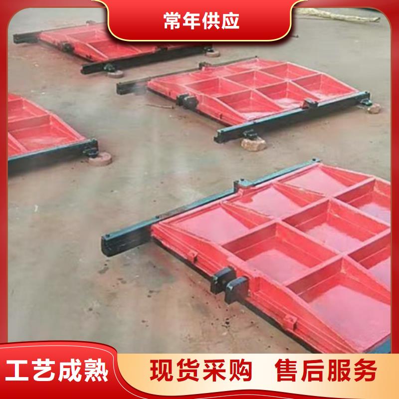 復(fù)合閘門工廠直銷