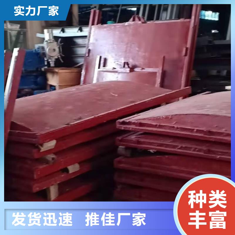 鑄鐵防潮閘門材質保證
