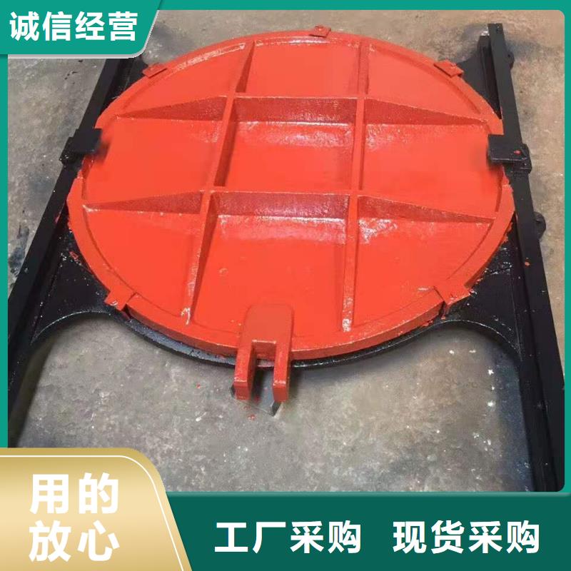 雙向止水閘門支持定制