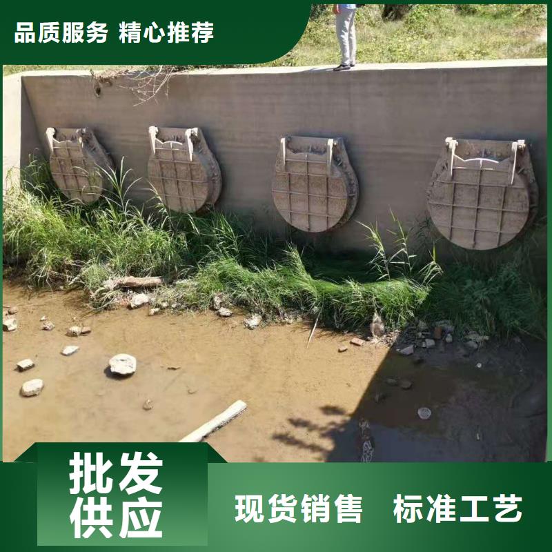 球墨鑄鐵閘門規(guī)格齊全