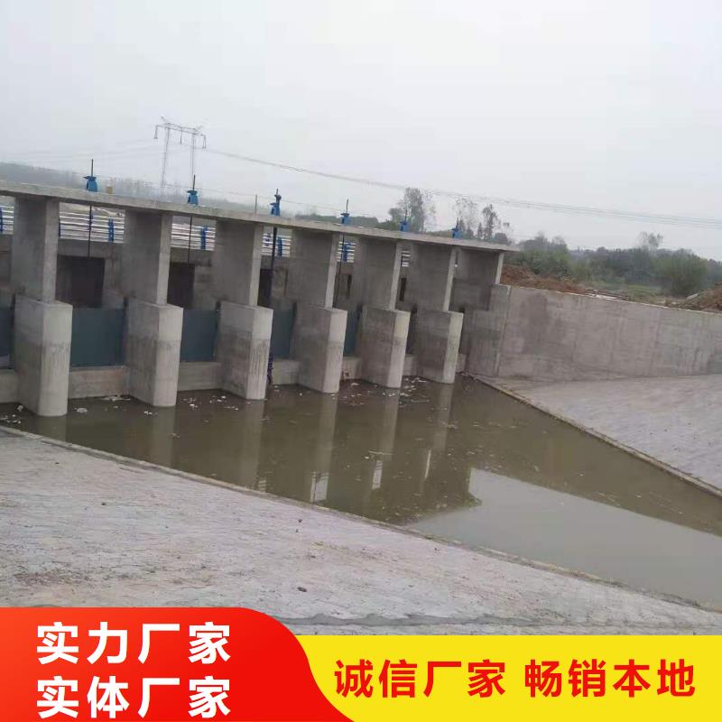 手動(dòng)鑄鐵鑲銅閘門廠家