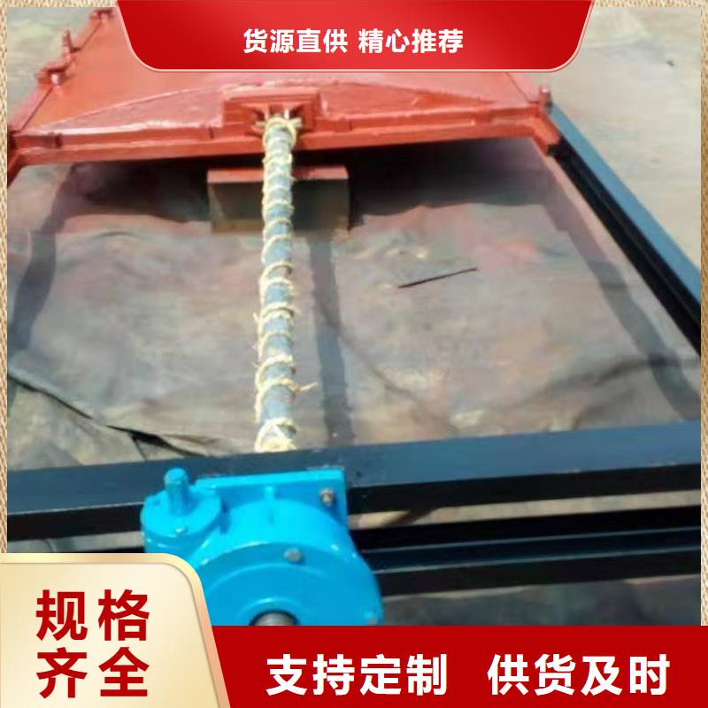 水電站鑄鐵閘門多年行業(yè)經(jīng)驗(yàn)
