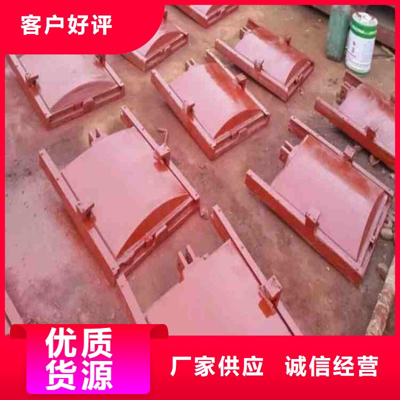 規(guī)格齊全的附壁式鑄鐵閘門銷售廠家