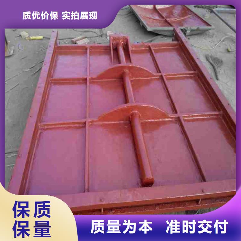 水利鑄鐵閘門材質(zhì)保證