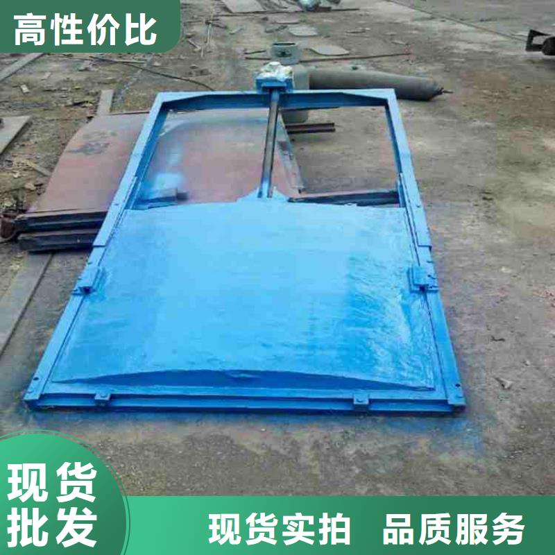 鑄鐵閘門廠家直銷規(guī)格多樣