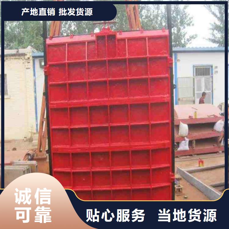 雙向止水閘門支持定制