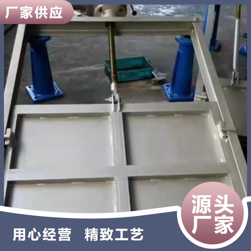 泵站上臥式閘門生產廠家