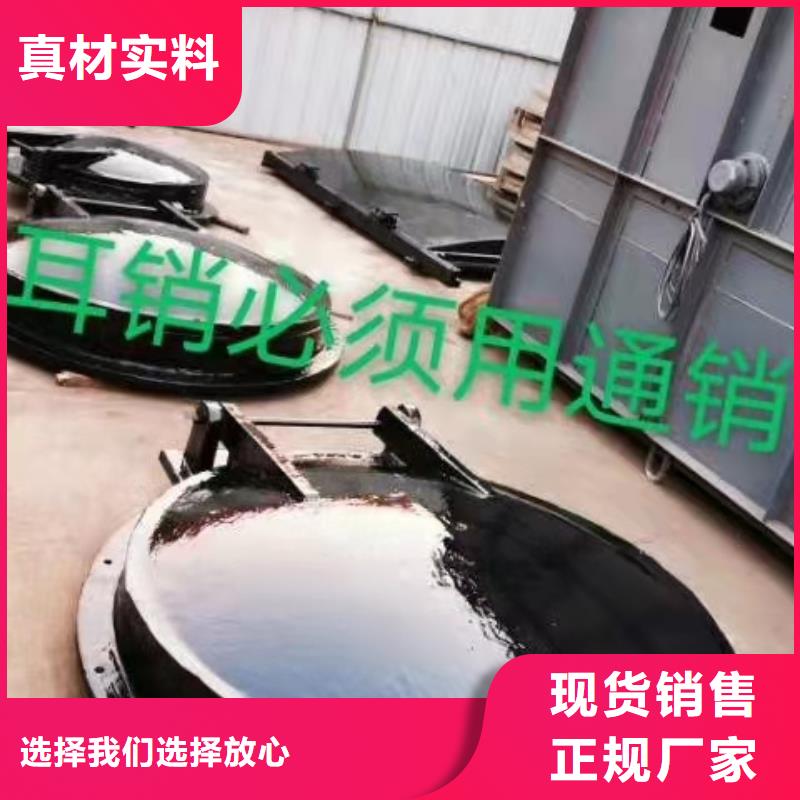 钢闸门实地大厂