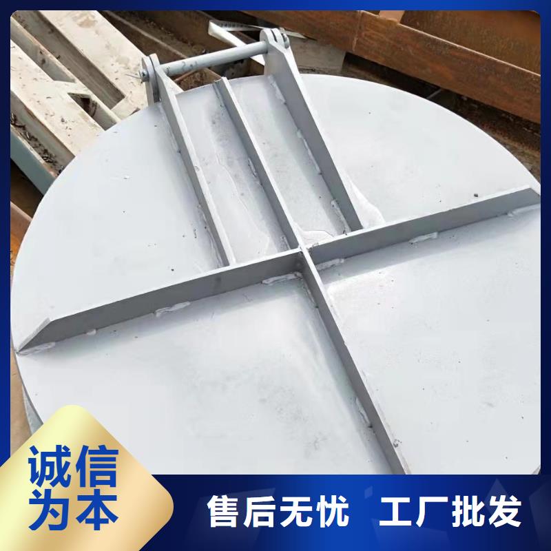  钢闸门专注细节更放心
