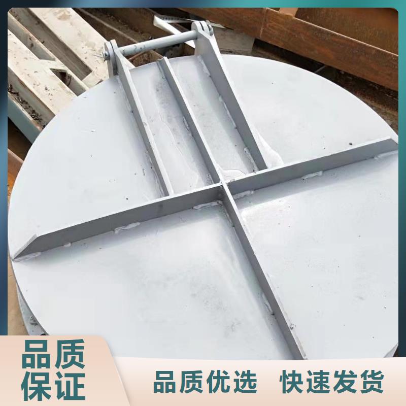 翻板閘門支持定制