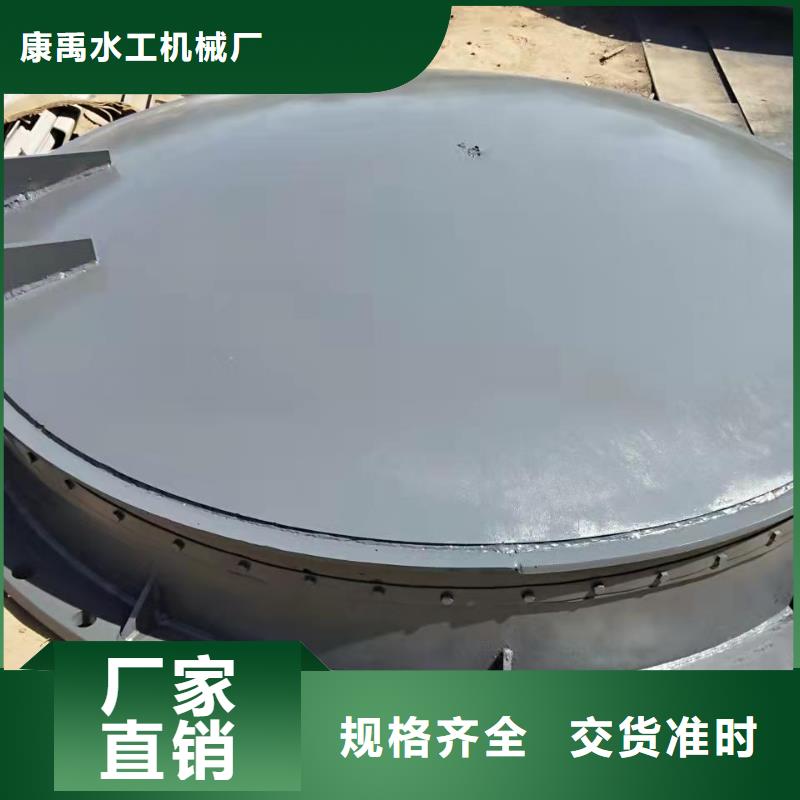 钢闸门实地大厂