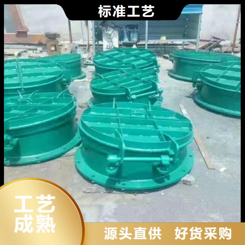 翻板閘門廠家現貨