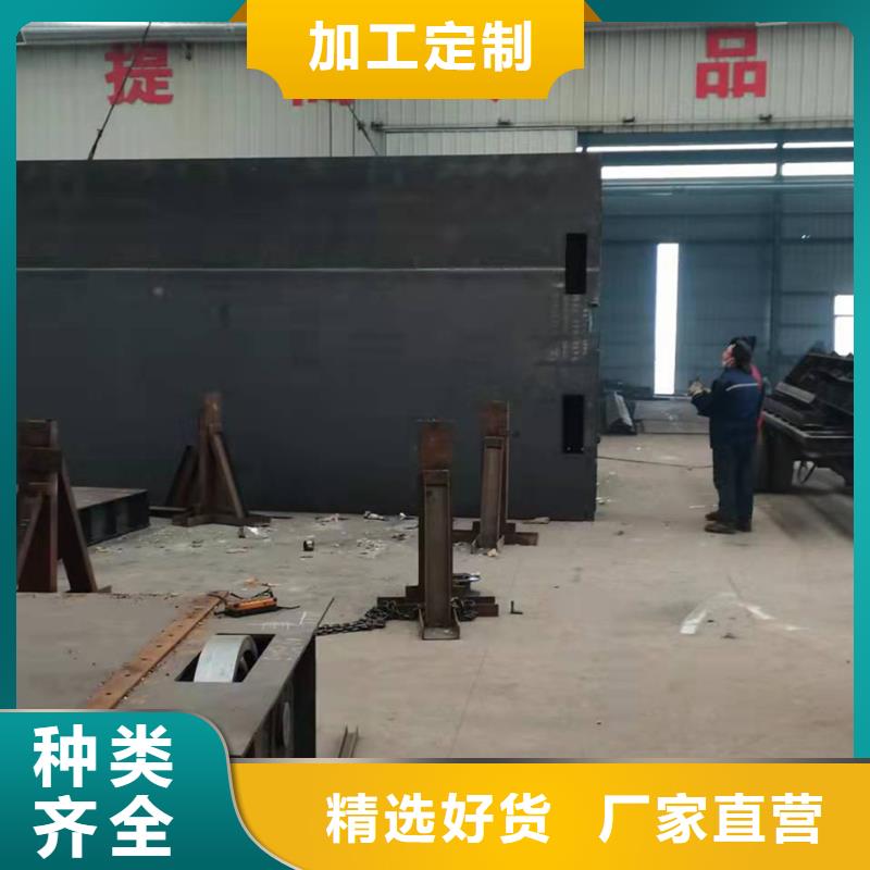 鋼制平面閘門品質(zhì)卓越