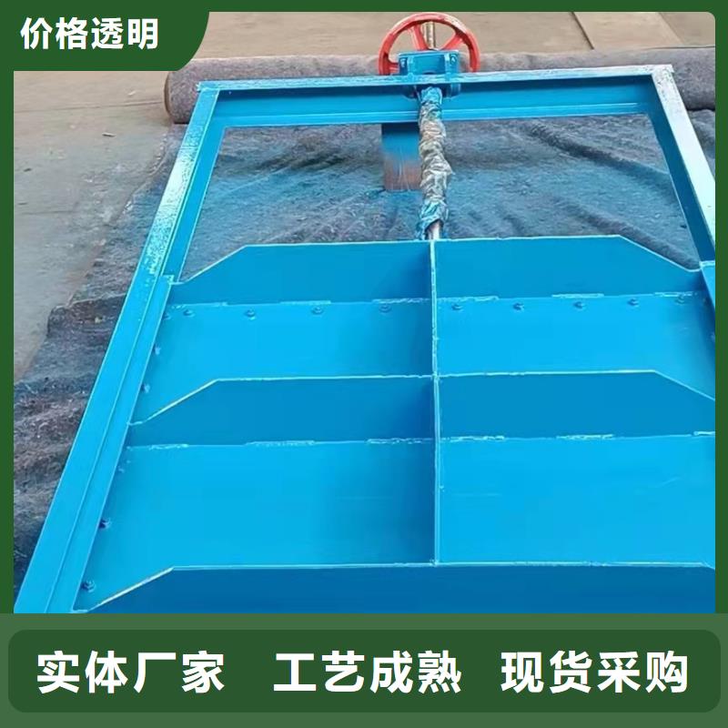  钢闸门自营品质有保障