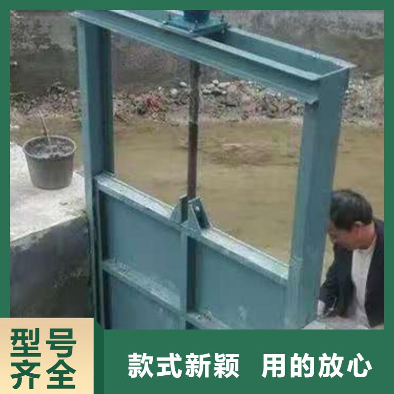 平板鋼閘門生產廠家