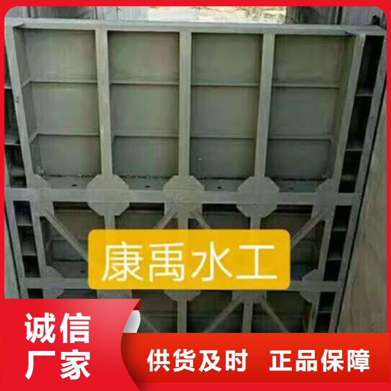 平板鋼閘門可定制