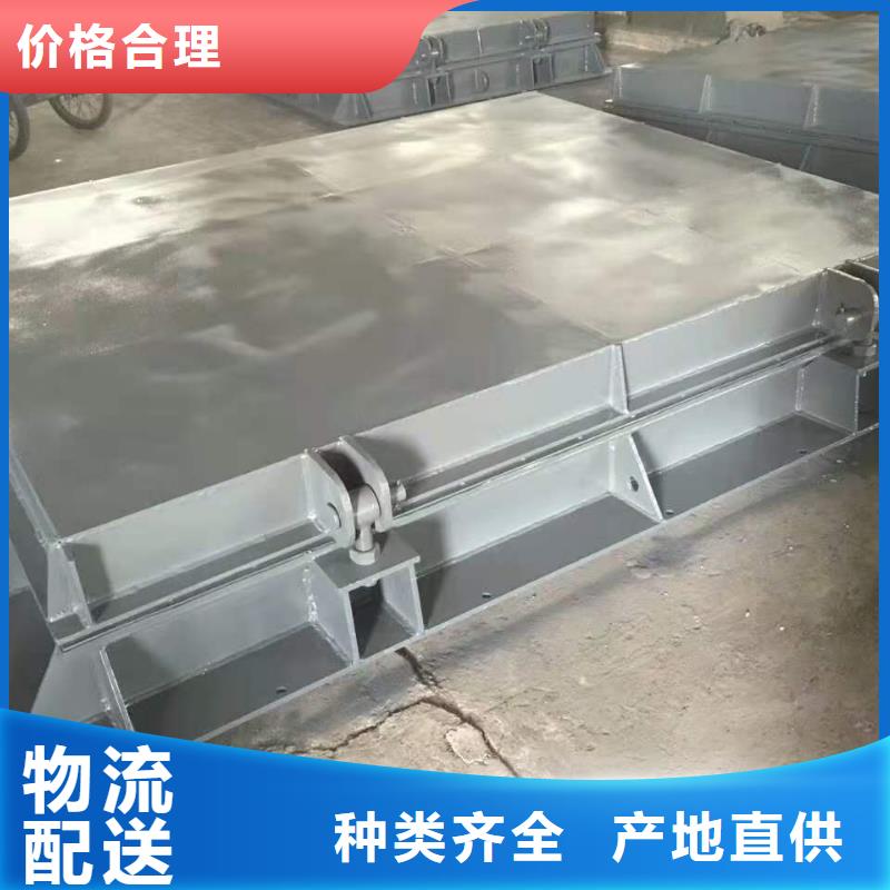 翻板閘門可定制