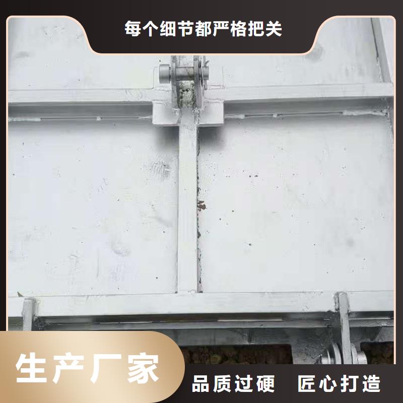  钢闸门实力雄厚品质保障