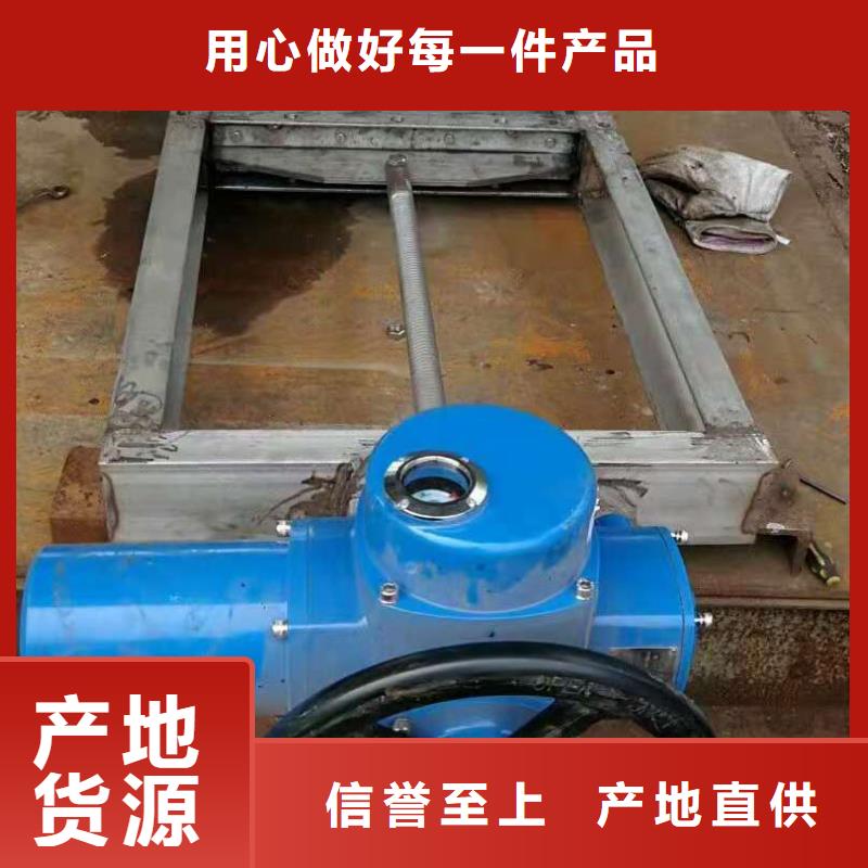 液壓扇形閘門歡迎惠顧